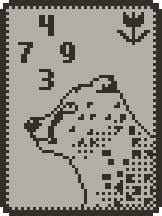 Cheetah card