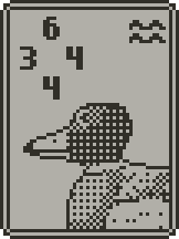 Duck card