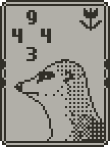 Meerkat card